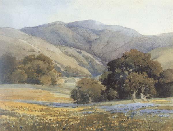 Percy Gray Springtime in Corral de Tierra (mk42) oil painting picture